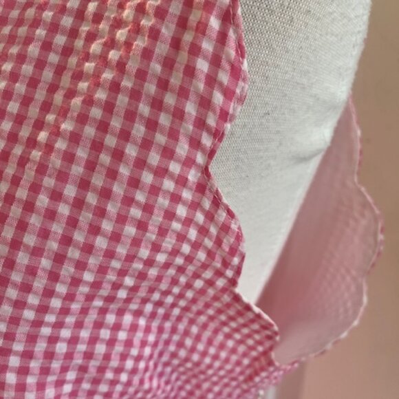 Duffield Lane Cassidy Shift Dress: Raspberry Gingham - Picture 5 of 7